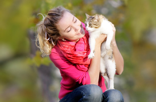 猫能感受到爱吗？猫感受爱的五种方式