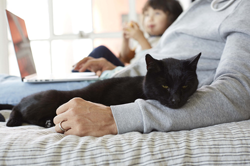 猫睡在身上是什么意思？