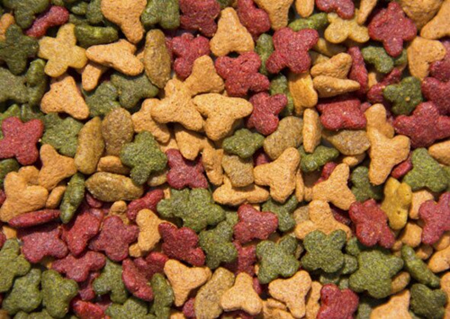 7种喂猫的错误方式