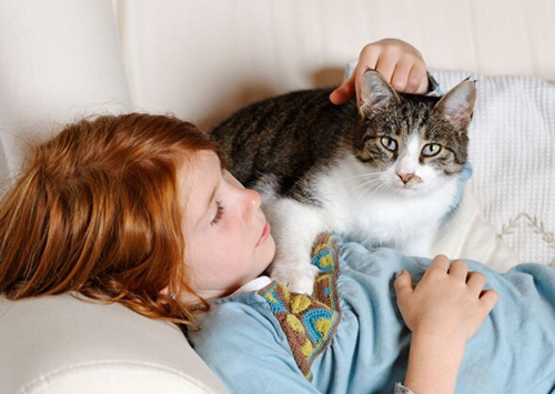 孩子和猫在一起:7件事要知道