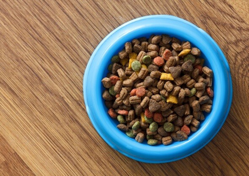 室内猫粮和成猫粮有什么区别？
