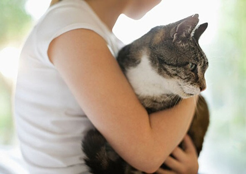 养狗或养猫对性格提升的好处
