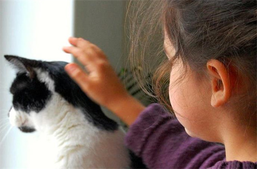 猫耳螨治疗过程