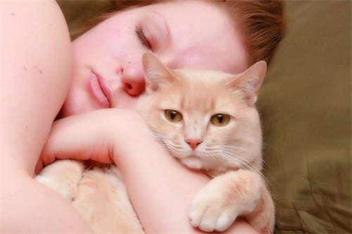 猫猫内伤有什么症状