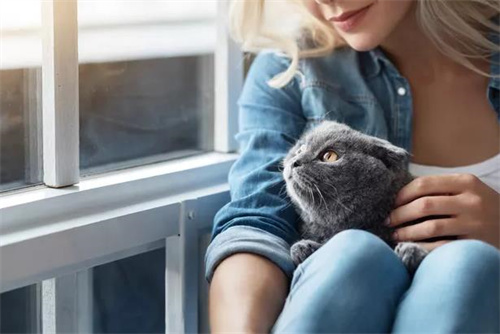 如何通过游戏来逗猫咪玩？