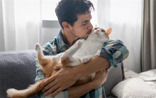 猫咪是怎么撒娇的呢？