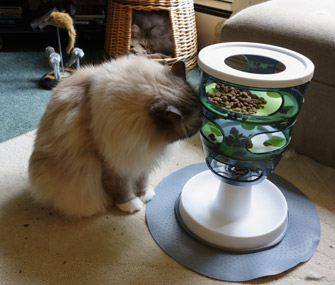 你需要了解的关于猫狗食品玩具的知识