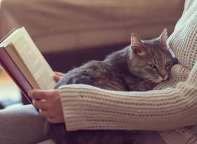 猫打呼噜说明什么？